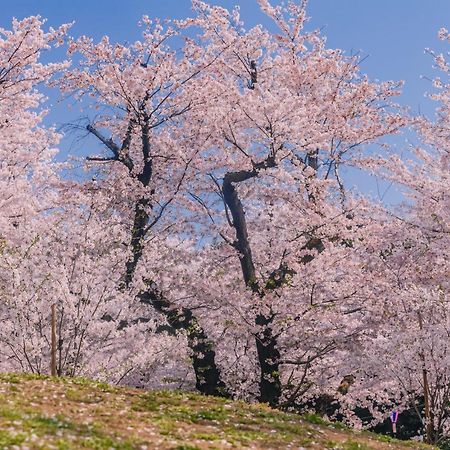 Oyo Hotel Exsaison Sugamo Токио Экстерьер фото